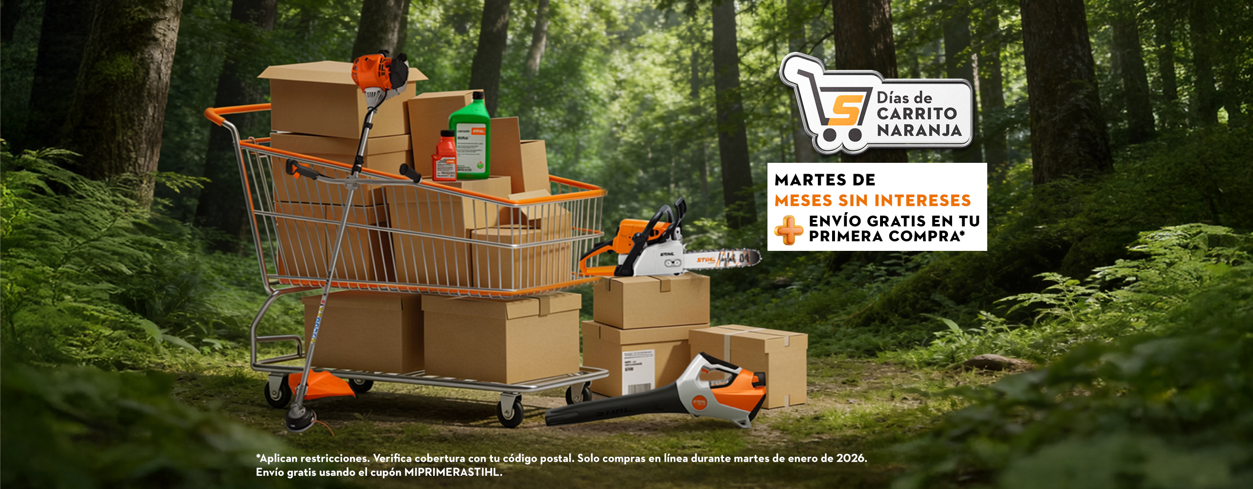 promoción enereo 2026 tienda online